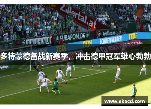 多特蒙德备战新赛季，冲击德甲冠军雄心勃勃
