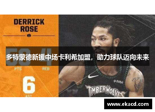多特蒙德新援中场卡利希加盟，助力球队迈向未来